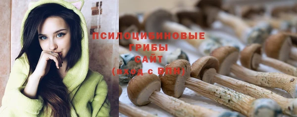 ECSTASY Белоозёрский