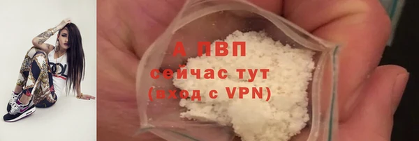 ECSTASY Белоозёрский