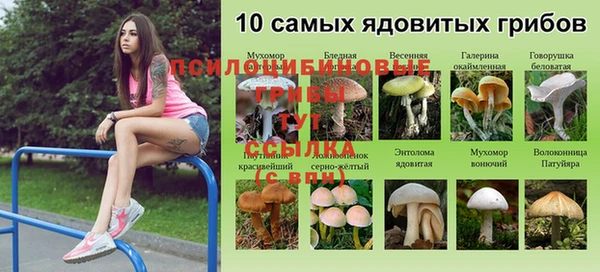 МДПВ Белокуриха