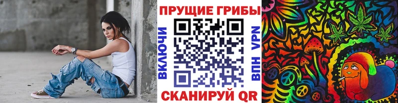 Купить где  Горячеводский  Галлюциногенные грибы прущие грибы 